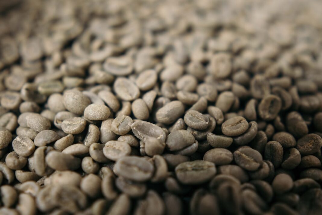 Here’s all the hype about Wholesale Green Coffee Beans